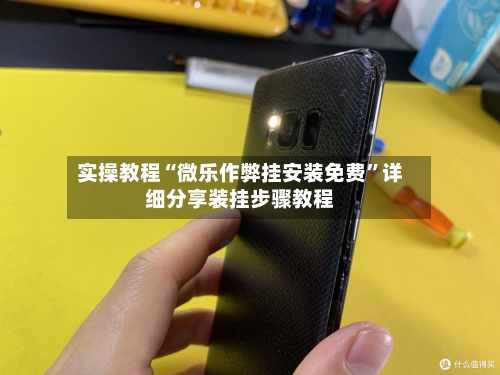 实操教程“微乐作弊挂安装免费	”详细分享装挂步骤教程-第3张图片