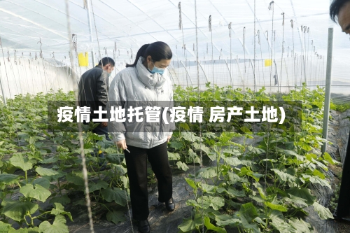 疫情土地托管(疫情 房产土地)-第1张图片