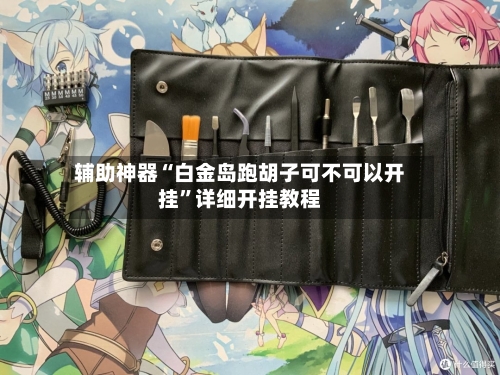 辅助神器“白金岛跑胡子可不可以开挂”详细开挂教程-第1张图片