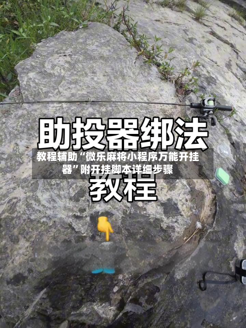 教程辅助“微乐麻将小程序万能开挂器”附开挂脚本详细步骤-第1张图片