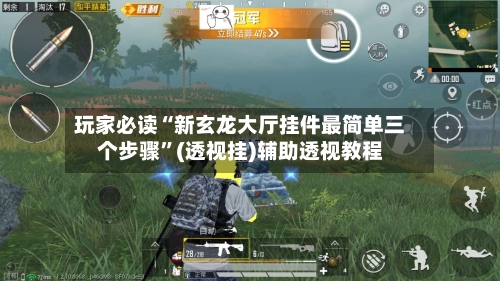 玩家必读“新玄龙大厅挂件最简单三个步骤”(透视挂)辅助透视教程-第1张图片