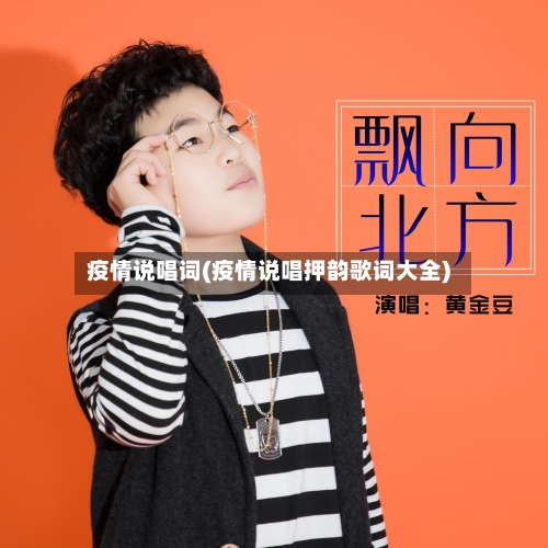 疫情说唱词(疫情说唱押韵歌词大全)-第2张图片