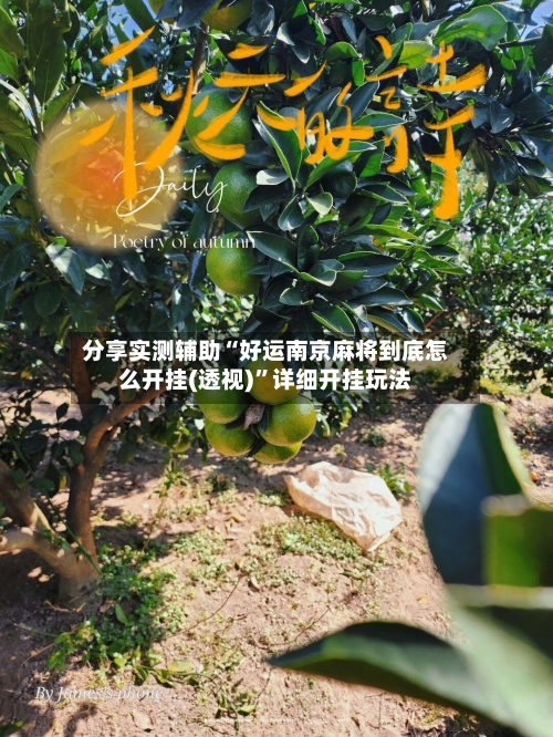 分享实测辅助“好运南京麻将到底怎么开挂(透视)”详细开挂玩法-第3张图片