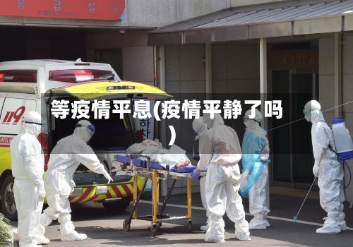 等疫情平息(疫情平静了吗)-第2张图片