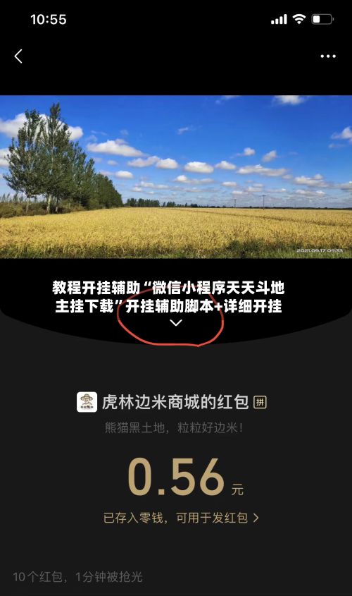教程开挂辅助“微信小程序天天斗地主挂下载	”开挂辅助脚本+详细开挂-第2张图片