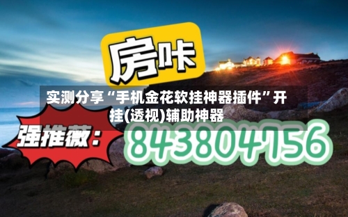 实测分享“手机金花软挂神器插件”开挂(透视)辅助神器-第1张图片