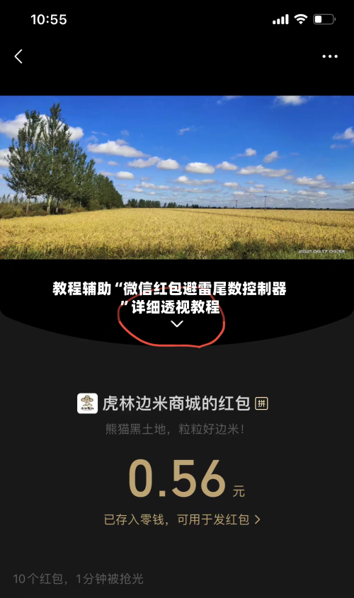 教程辅助“微信红包避雷尾数控制器	”详细透视教程-第1张图片