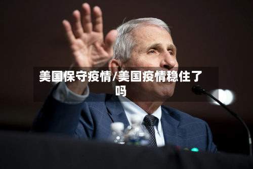 美国保守疫情/美国疫情稳住了吗