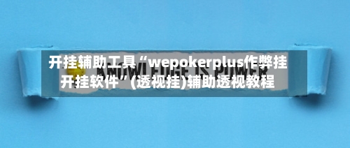 开挂辅助工具“wepokerplus作弊挂开挂软件”(透视挂)辅助透视教程-第3张图片