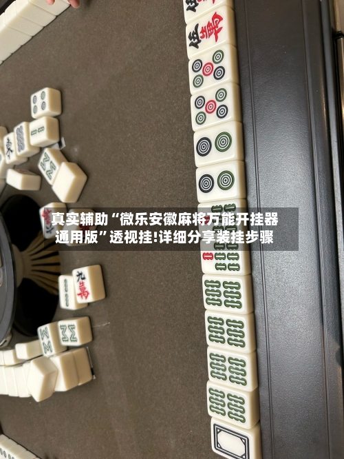真实辅助“微乐安徽麻将万能开挂器通用版”透视挂!详细分享装挂步骤-第2张图片