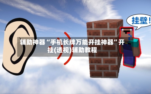 辅助神器“手机长牌万能开挂神器”开挂(透视)辅助教程-第3张图片