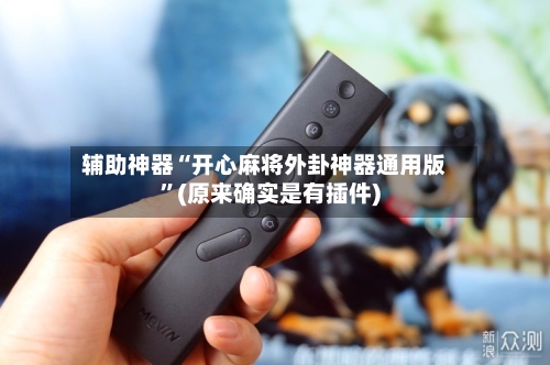 辅助神器“开心麻将外卦神器通用版”(原来确实是有插件)-第2张图片