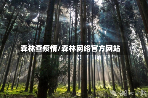 森林查疫情/森林网络官方网站