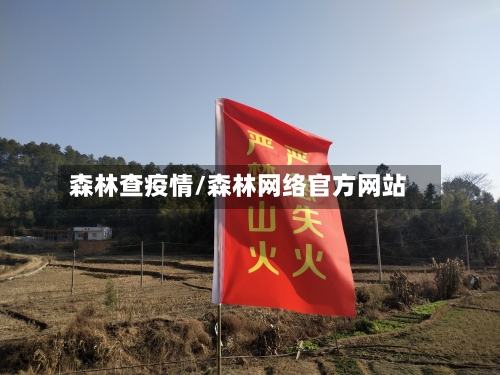 森林查疫情/森林网络官方网站-第2张图片