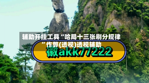 辅助开挂工具“哈局十三张刷分规律”作弊(透视)透视辅助-第2张图片