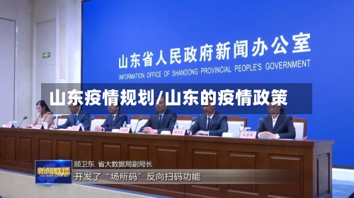 山东疫情规划/山东的疫情政策