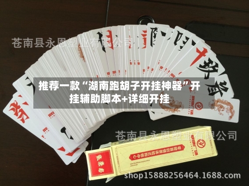 推荐一款“湖南跑胡子开挂神器”开挂辅助脚本+详细开挂-第1张图片