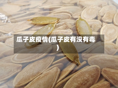 瓜子皮疫情(瓜子皮有没有毒)