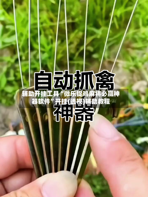 辅助开挂工具“微乐捉鸡麻将必赢神器软件”开挂(透视)辅助教程-第3张图片