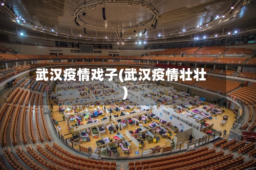 武汉疫情戏子(武汉疫情壮壮)