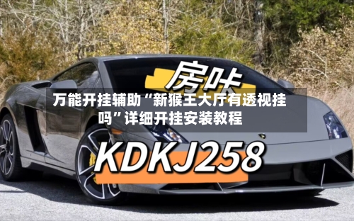 万能开挂辅助“新猴王大厅有透视挂吗”详细开挂安装教程-第3张图片