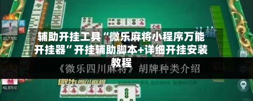 辅助开挂工具“微乐麻将小程序万能开挂器	”开挂辅助脚本+详细开挂安装教程-第3张图片