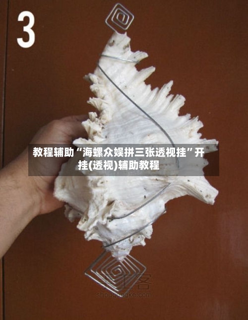 教程辅助“海螺众娱拼三张透视挂”开挂(透视)辅助教程-第1张图片