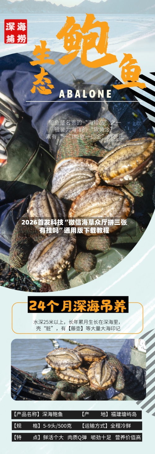 2026首发科技“微信海草众厅拼三张有挂吗	”通用版下载教程-第2张图片