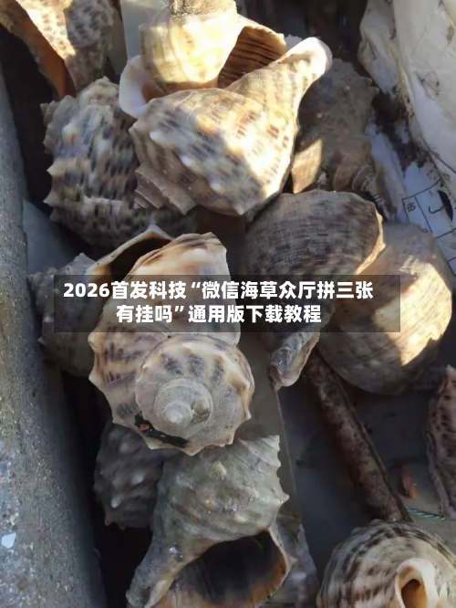 2026首发科技“微信海草众厅拼三张有挂吗”通用版下载教程-第1张图片