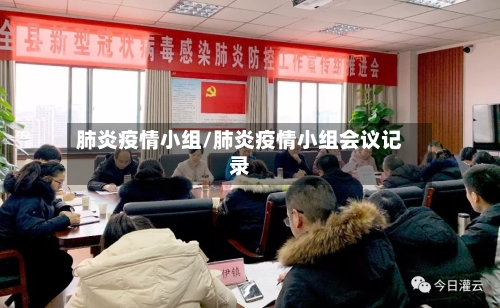 肺炎疫情小组/肺炎疫情小组会议记录-第1张图片