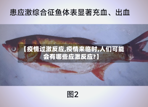 【疫情过激反应,疫情来临时,人们可能会有哪些应激反应?】-第1张图片