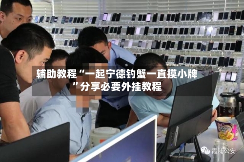 辅助教程“一起宁德钓蟹一直摸小牌	”分享必要外挂教程-第1张图片