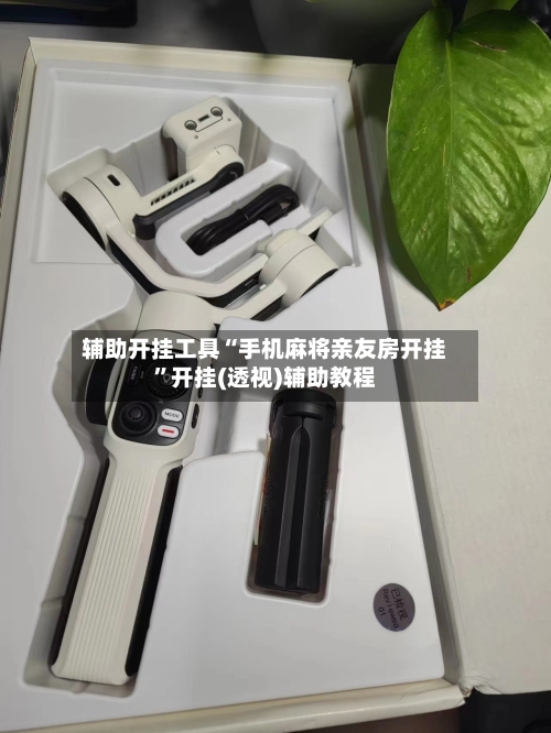 辅助开挂工具“手机麻将亲友房开挂	”开挂(透视)辅助教程-第1张图片