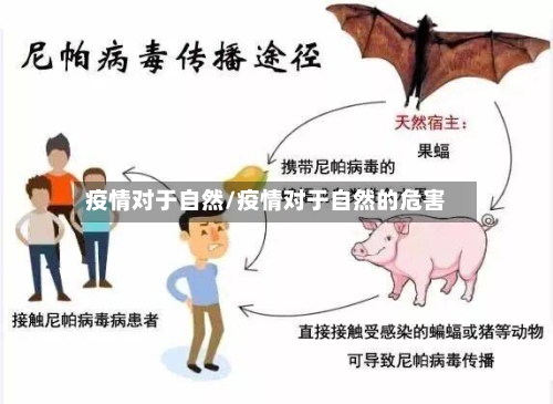 疫情对于自然/疫情对于自然的危害-第1张图片