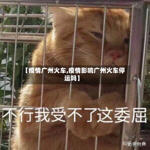 【疫情广州火车,疫情影响广州火车停运吗】-第2张图片