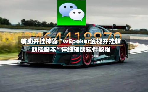 辅助开挂神器“wEpoker透视开挂辅助挂脚本”详细辅助软件教程-第2张图片