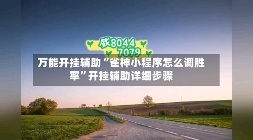 万能开挂辅助“雀神小程序怎么调胜率	”开挂辅助详细步骤-第3张图片