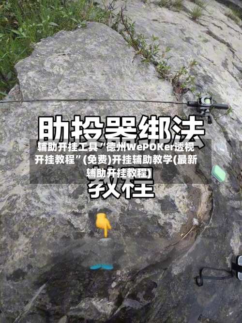 辅助开挂工具“德州WePOKer透视开挂教程”(免费)开挂辅助教学(最新辅助开挂教程)-第1张图片