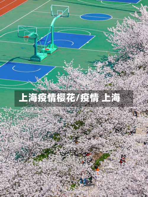 上海疫情樱花/疫情 上海