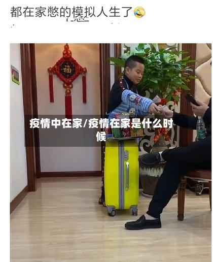 疫情中在家/疫情在家是什么时候