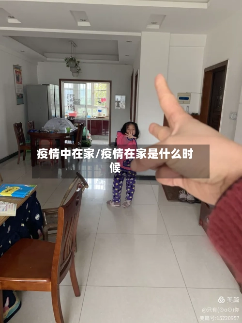 疫情中在家/疫情在家是什么时候-第3张图片