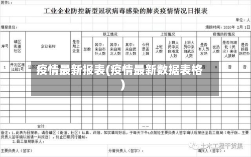 疫情最新报表(疫情最新数据表格)-第1张图片
