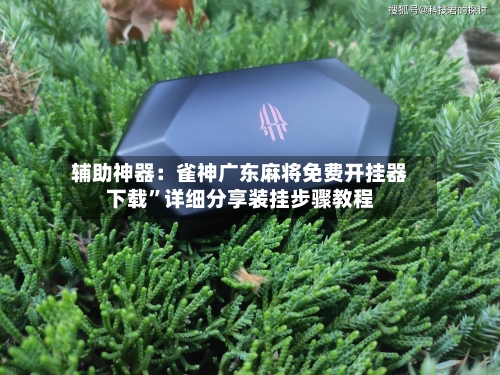 辅助神器：雀神广东麻将免费开挂器下载	”详细分享装挂步骤教程-第1张图片