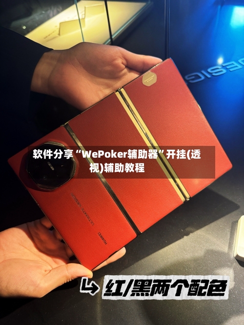 软件分享“WePoker辅助器”开挂(透视)辅助教程-第2张图片