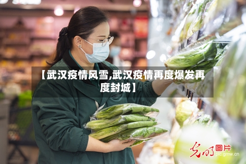 【武汉疫情风雪,武汉疫情再度爆发再度封城】-第3张图片