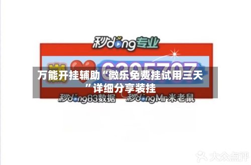 万能开挂辅助“微乐免费挂试用三天”详细分享装挂-第2张图片