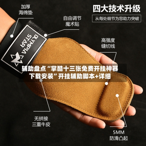 辅助盘点“掌酷十三张免费开挂神器下载安装”开挂辅助脚本+详细-第2张图片