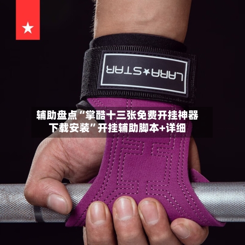 辅助盘点“掌酷十三张免费开挂神器下载安装	”开挂辅助脚本+详细-第1张图片