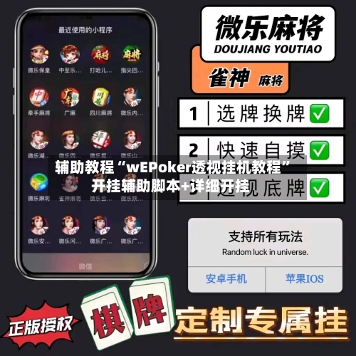 辅助教程“wEPoker透视挂机教程	”开挂辅助脚本+详细开挂-第1张图片