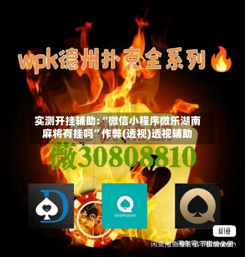 实测开挂辅助:“微信小程序微乐湖南麻将有挂吗”作弊(透视)透视辅助-第1张图片